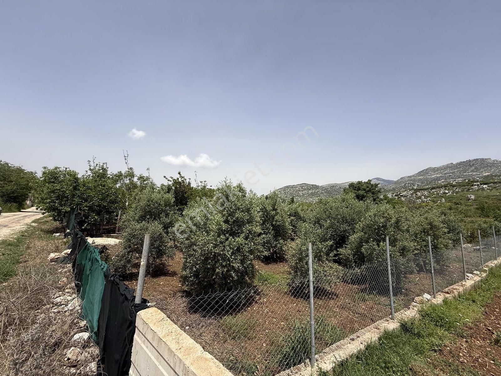 Manavgat Yaylaalanda Doğayla İç İçe Yasal Konut İmarlı Arsa