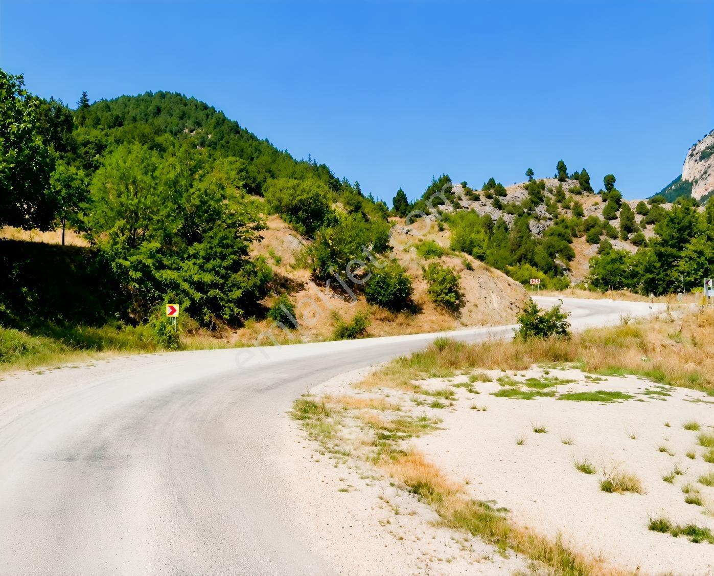 Profasor*dan Asvalt Yola Sıfır Düz 521 M2 Tek Tapu Köye 250metre - Görsel 6