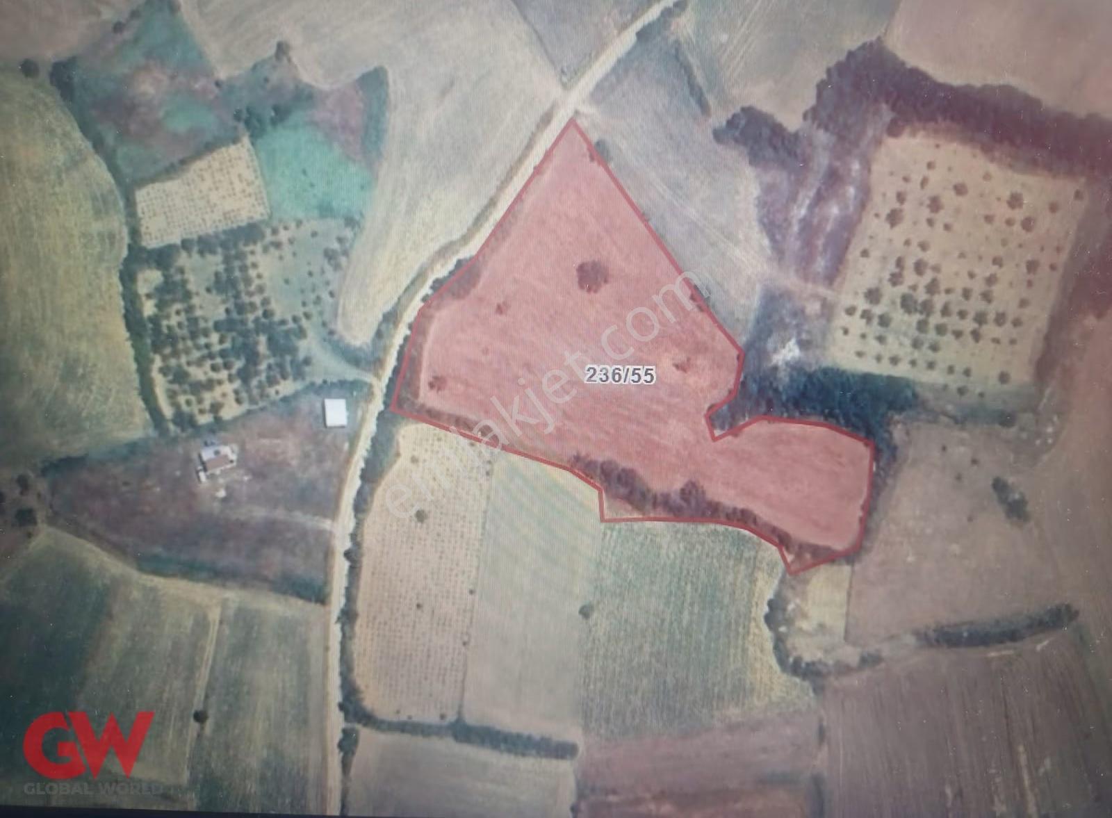 Gw T.dağ Şarköy Gölcük Kadastro Yola Cephe 9618 M2 Satılık Tarla - Görsel 6
