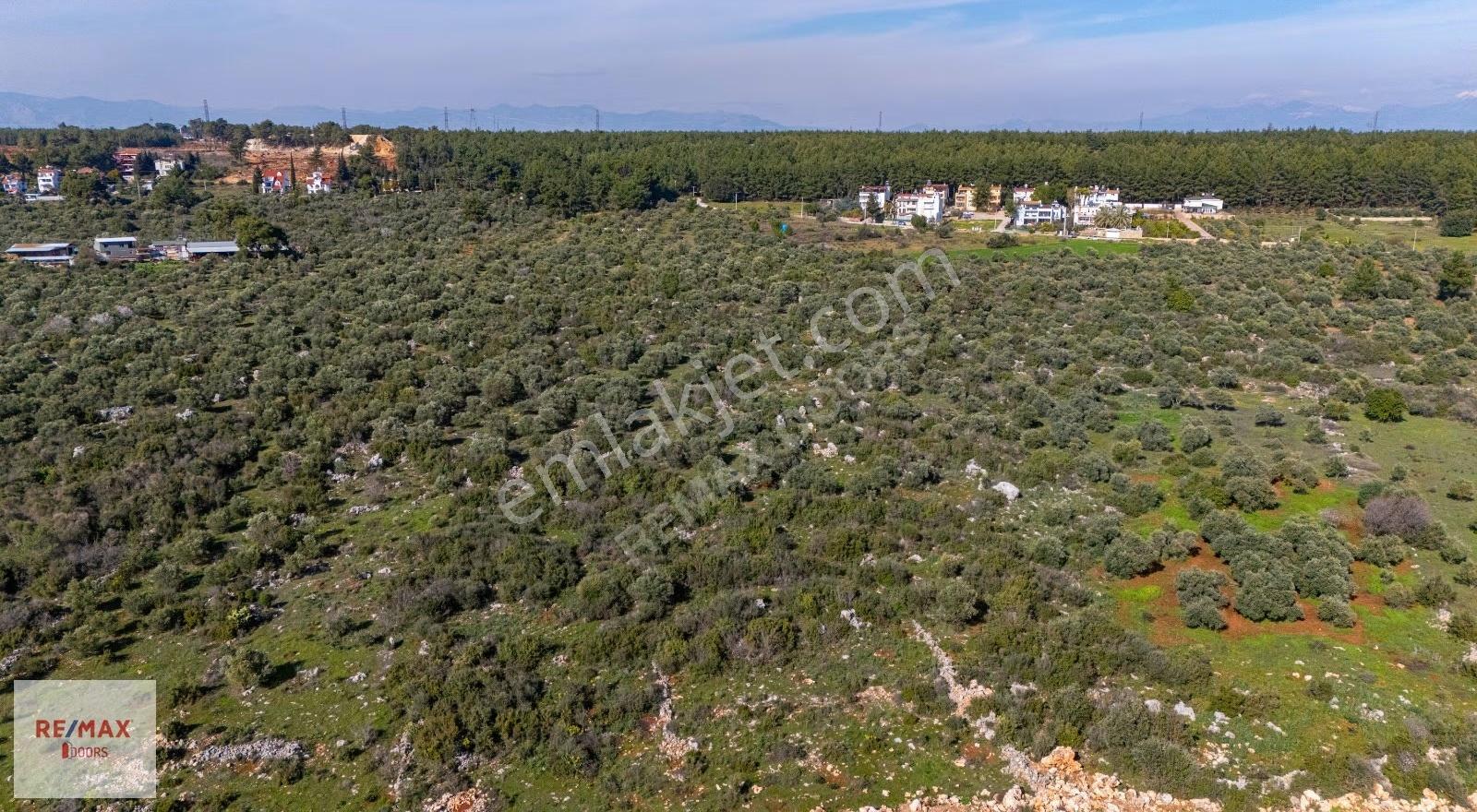 Şehir Hastanesi Karşısı Bulvara Cephe Müstakil Tapu 631 M2 Tarla - Görsel 7