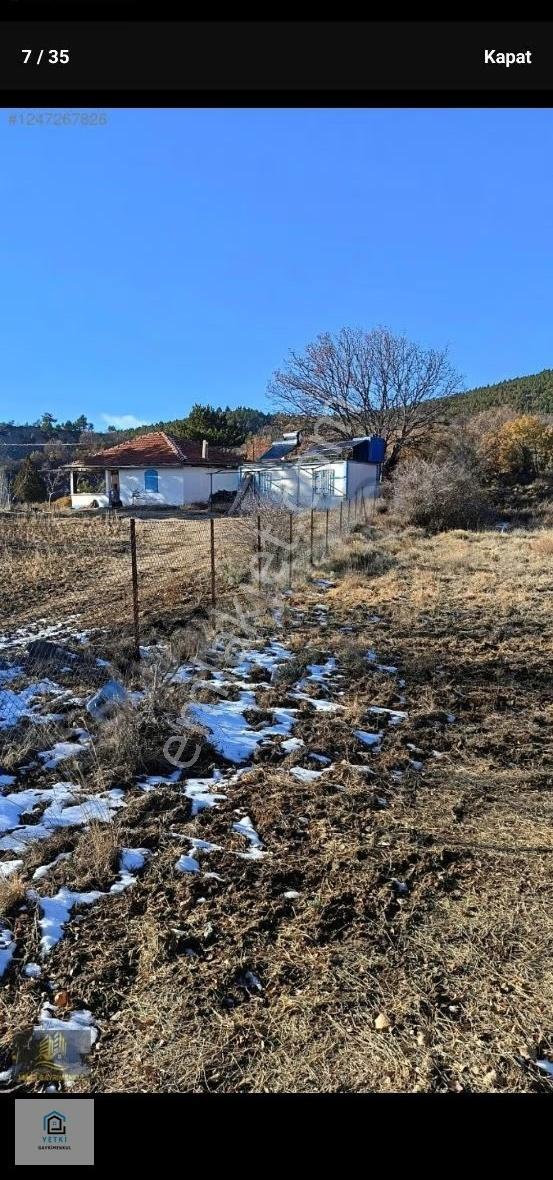 Yeşilyuva Da Kendi Enerjisini Üreten 15400m²fırsat Meyve Bahçesi - Görsel 2