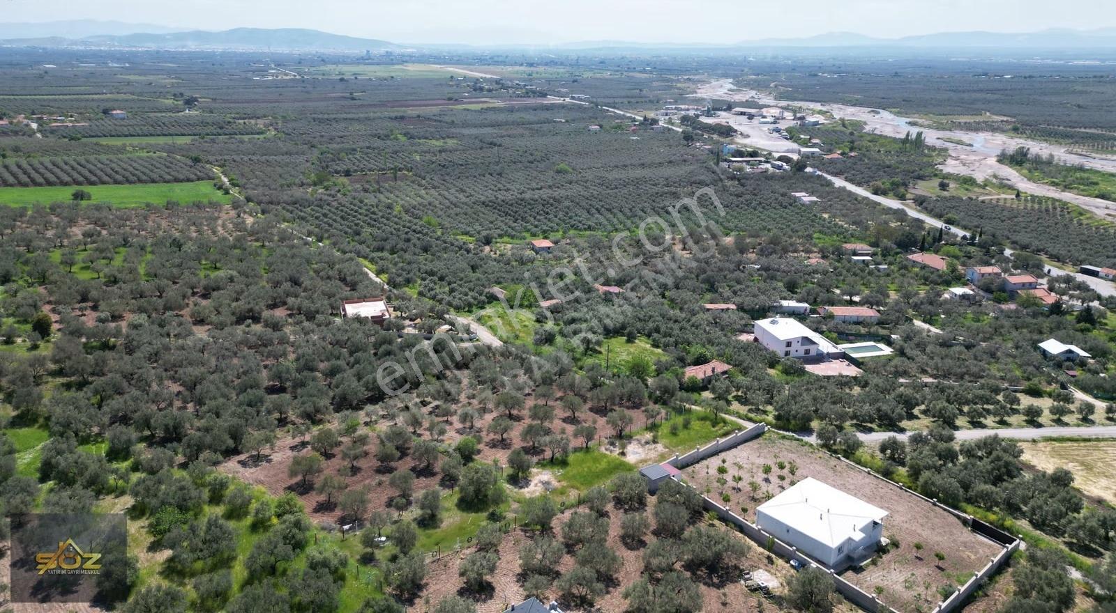 Dingiller Taş Konak Arkası %40 Konut İmarlı 1.300m2 İmarlı Arsa - Görsel 2