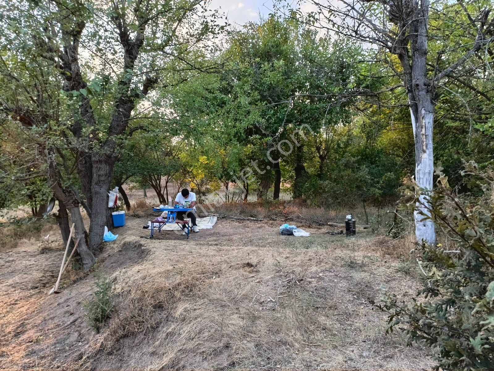 Profasor Dan Satılık Orhaneli Semerci Köyünde 245 M2 Tek Tapu - Görsel 7
