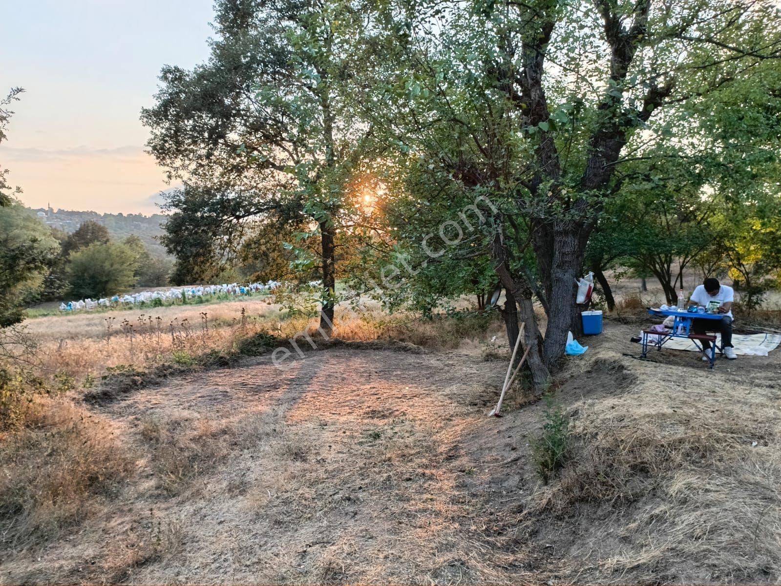 Profasor Dan Satılık Orhaneli Semerci Köyünde 245 M2 Tek Tapu
