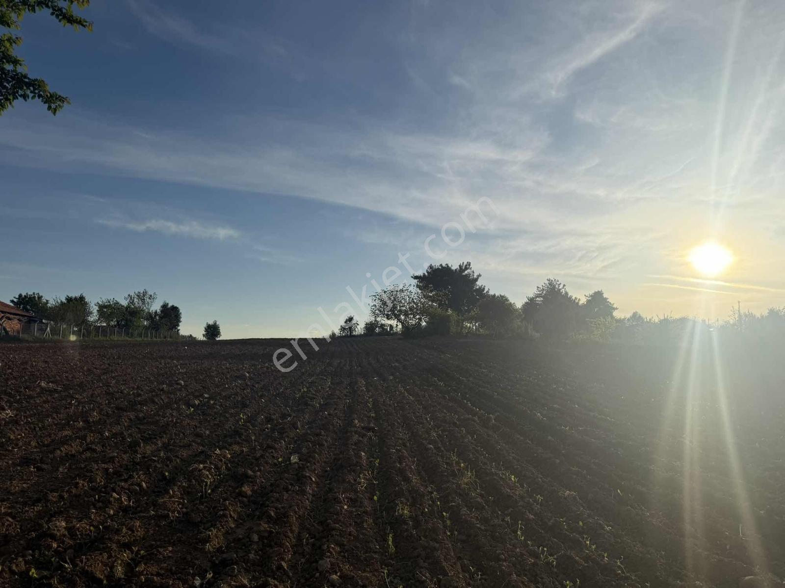Kale Belenköy De Denize 1 Saat Uzaklıkta 10523 M2 - Görsel 18