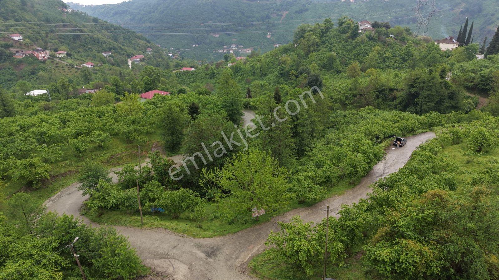 Yomra Şanlı Mahallesinde Deniz Manzaralı Satılık Arsa - Görsel 13