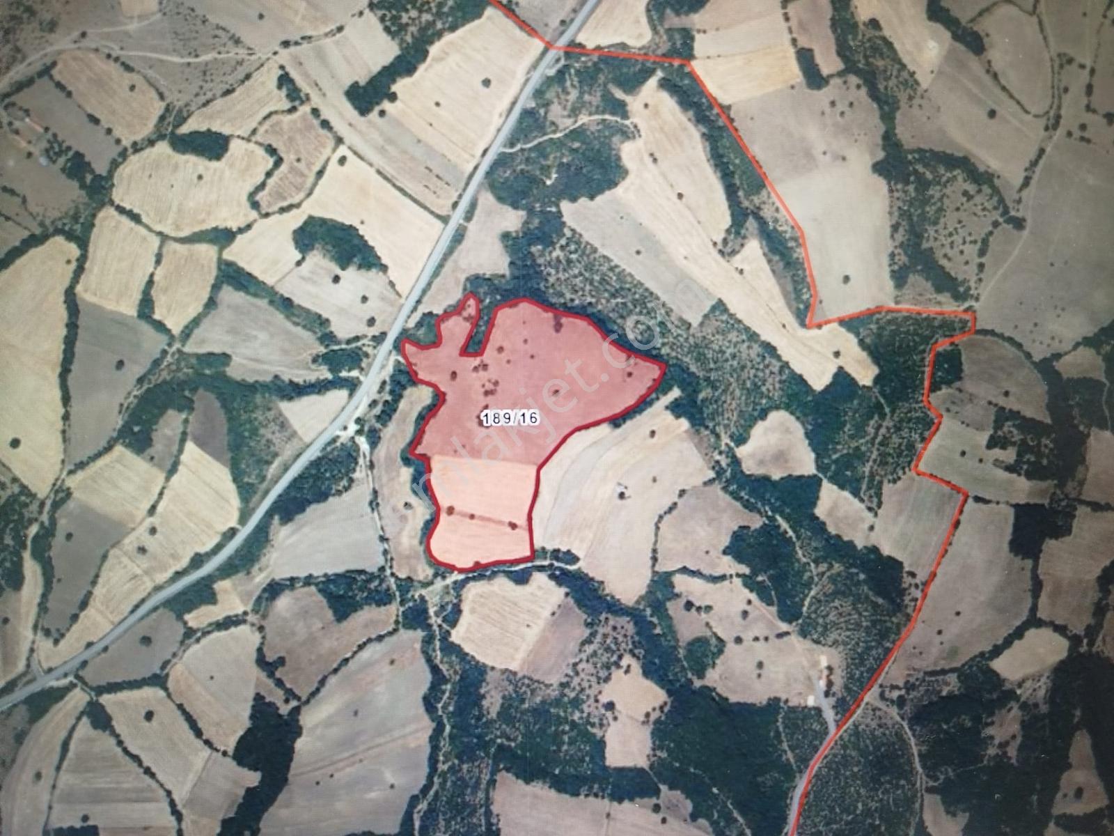 70.000 M² Yola Cepheli Müstakil Tapulu Tarla - Görsel 18