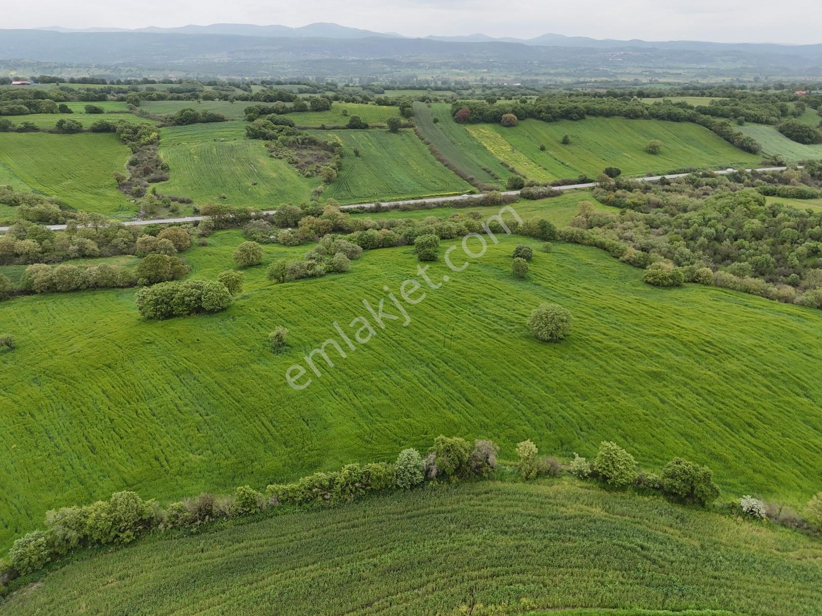 70.000 M² Yola Cepheli Müstakil Tapulu Tarla - Görsel 24
