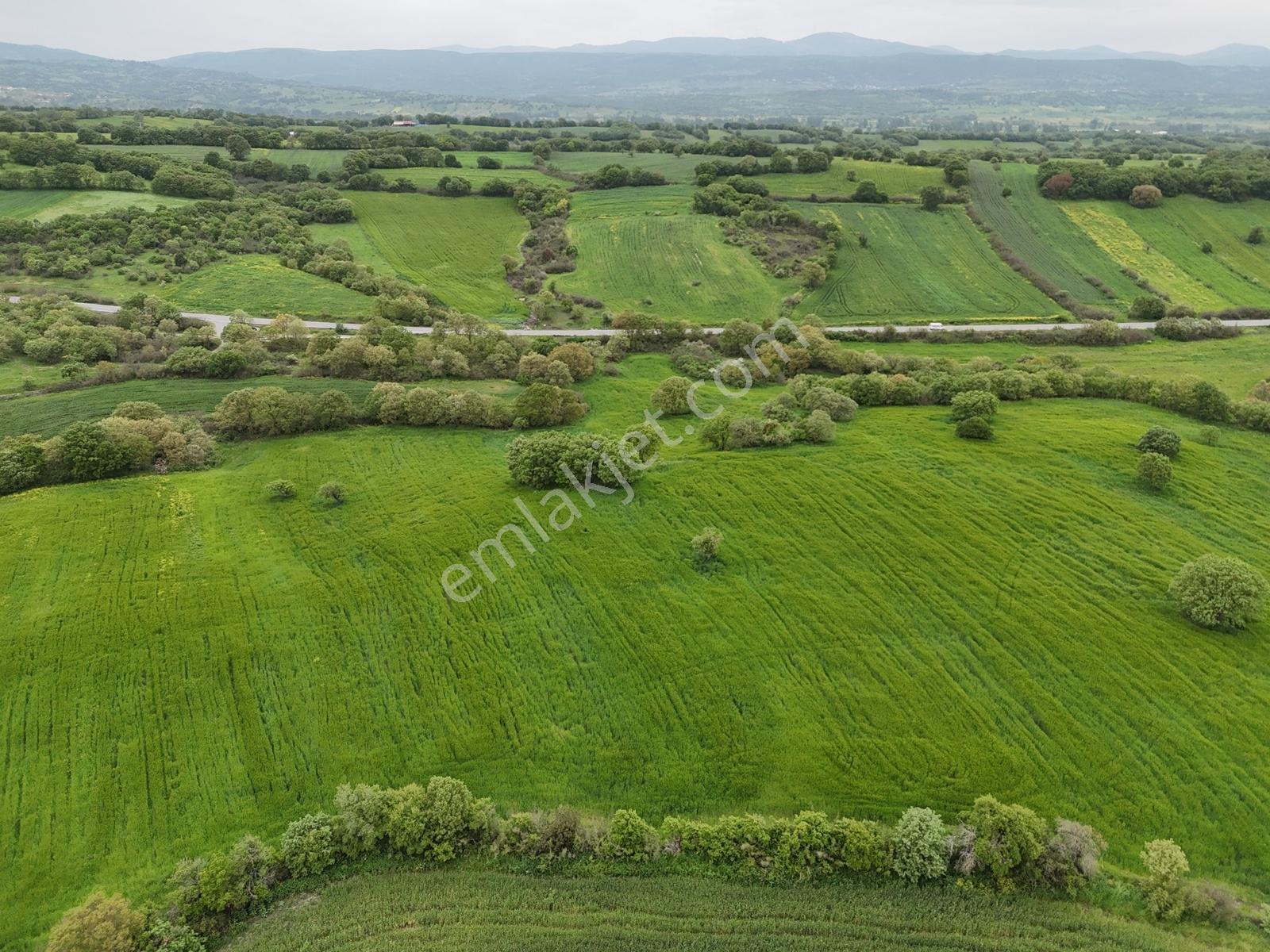 70.000 M² Yola Cepheli Müstakil Tapulu Tarla - Görsel 2