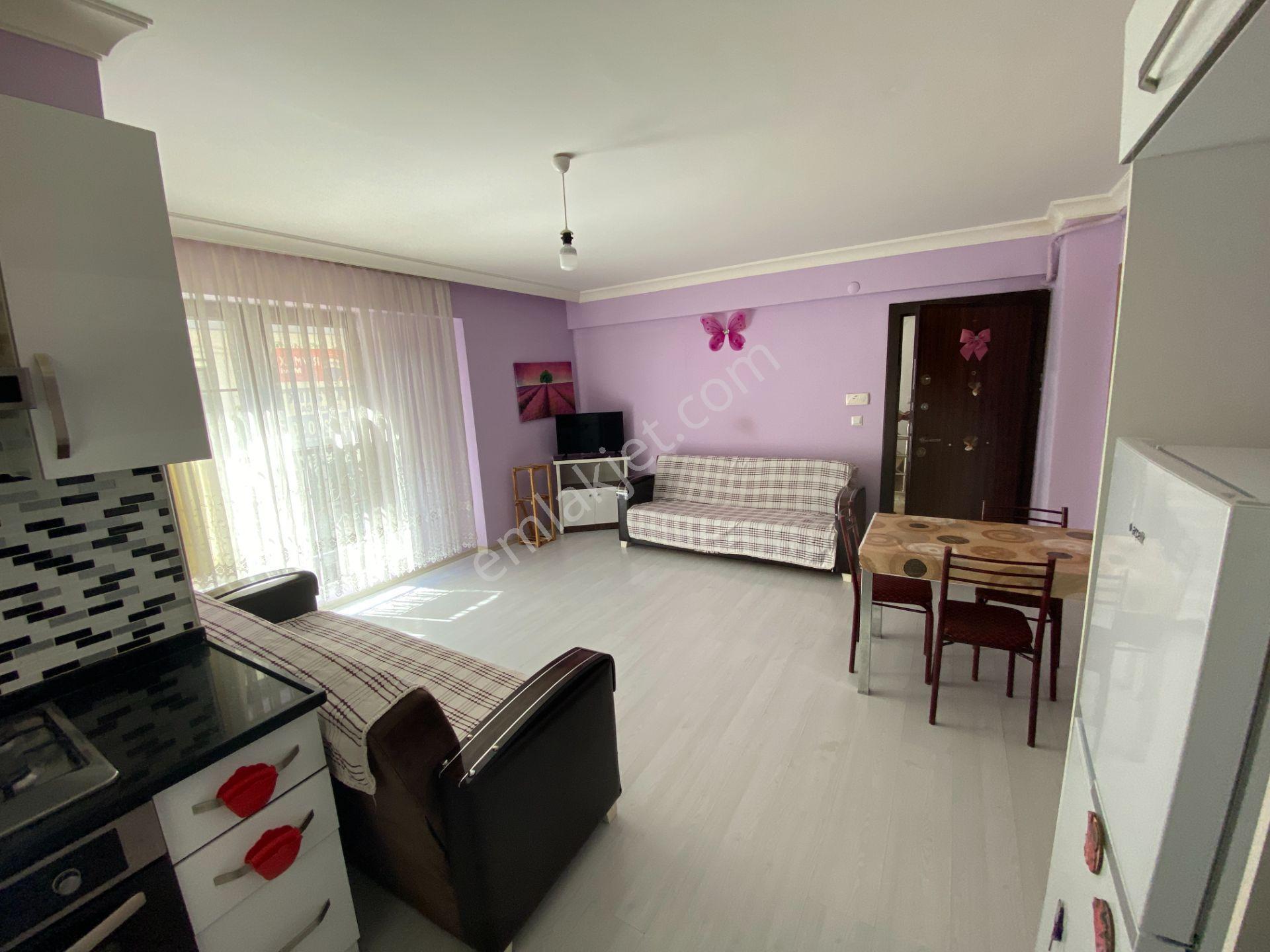 Hendek Yeni Mahallede Eşyalı 1+1 Kiralık Daire - Görsel 17