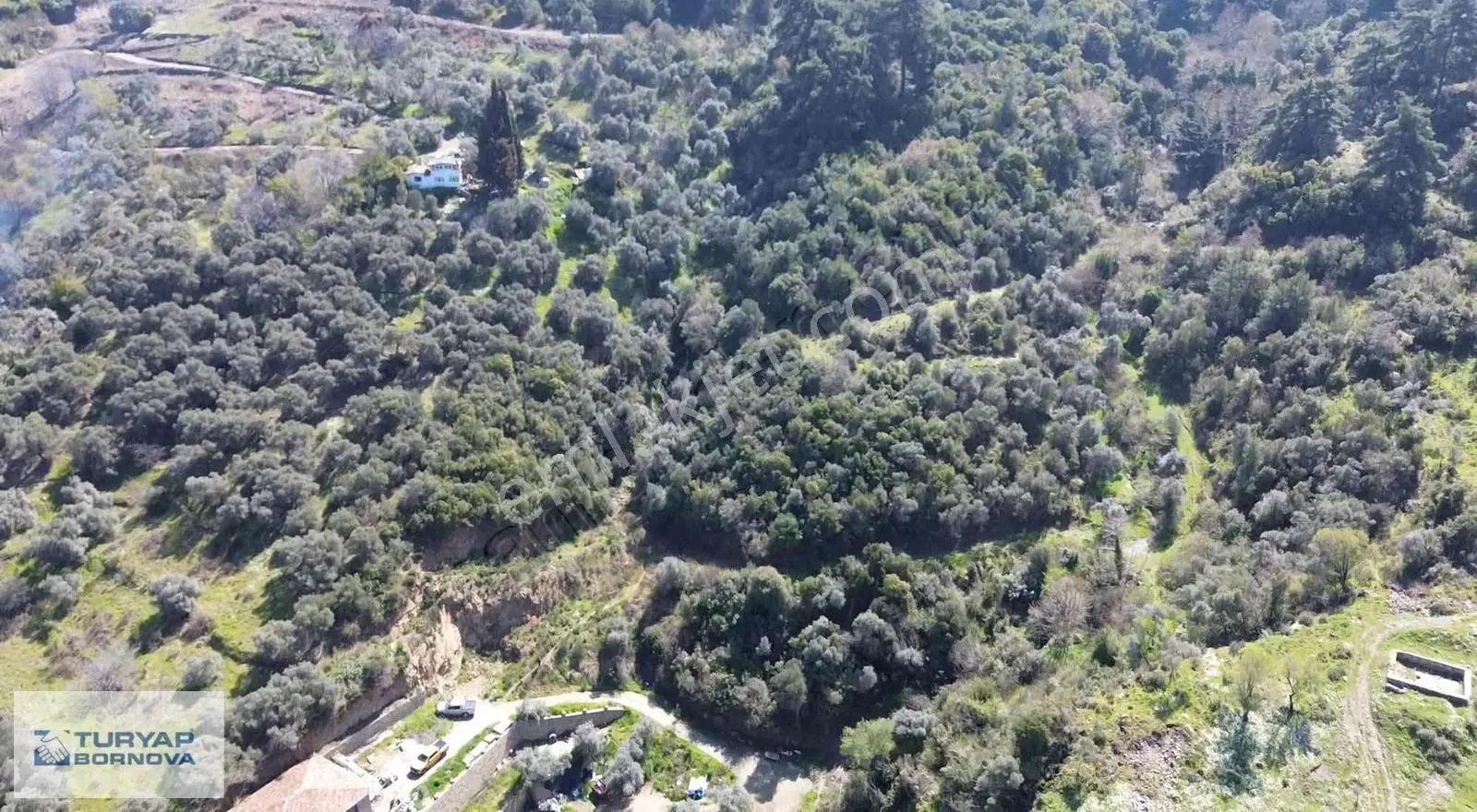 Şirince Yakını Yatırımlık 9.658m2 Satılık Tarla