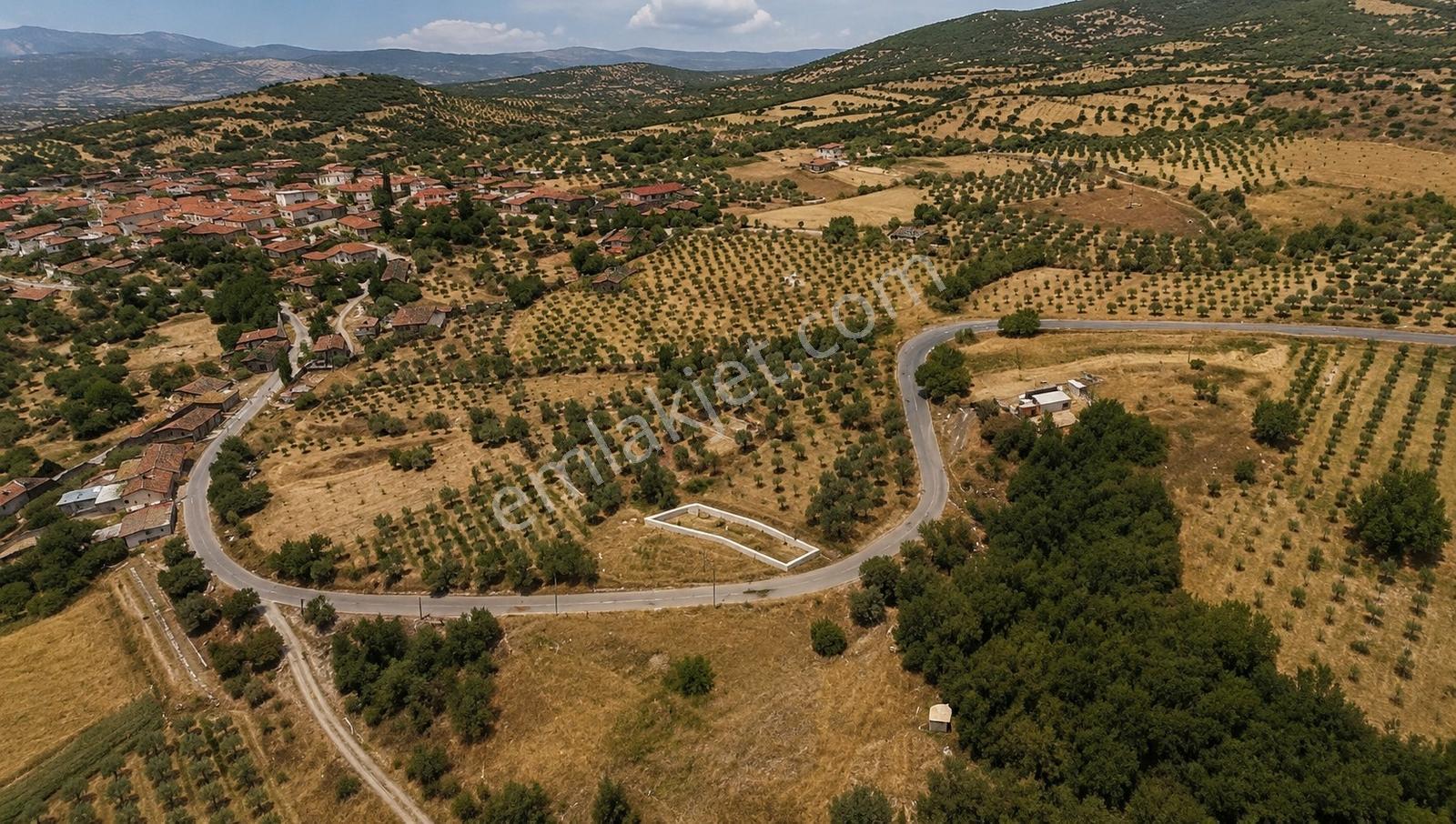 Akhisar Gökçelerde Asfalt Yola Sıfır 208 M² Uygun Fiyatlı Tarla - Görsel 8