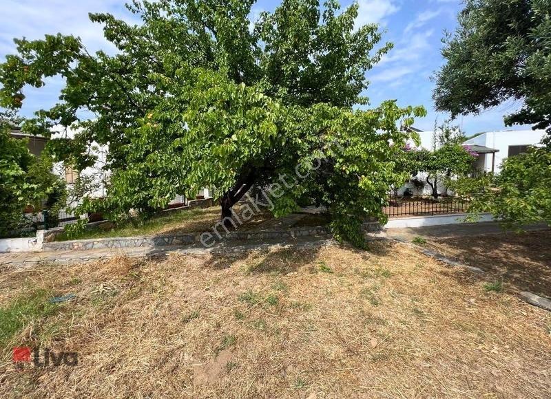 Artur Martı Koyunda Kiralık Eşyalı Müstakil Ev
