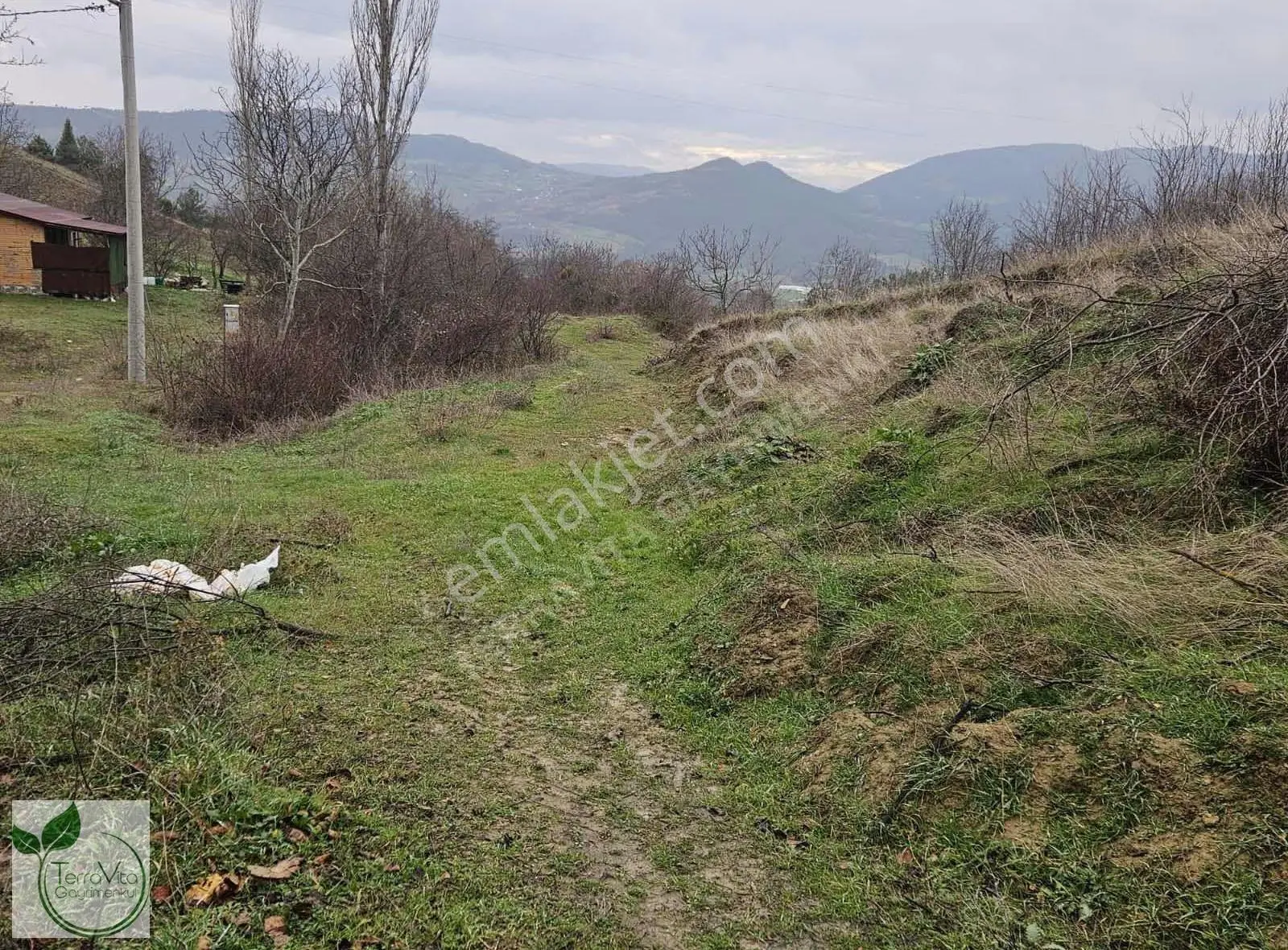 Sakarya Geyve Poydularda 668 M2 İmarlı Arsa