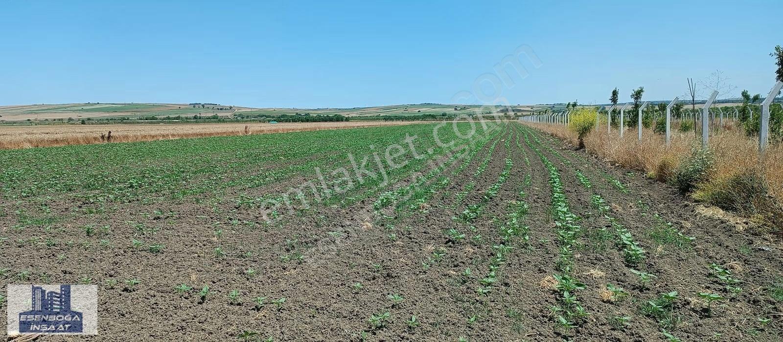 Çatalca Ferhatpaşa Yatırımlık Arsa
