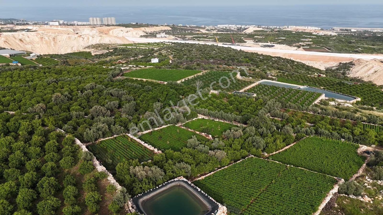 |ctn| Erdemli Kumkuyu Tırtar Full Deniz Manz. 1600m2 Bahçe