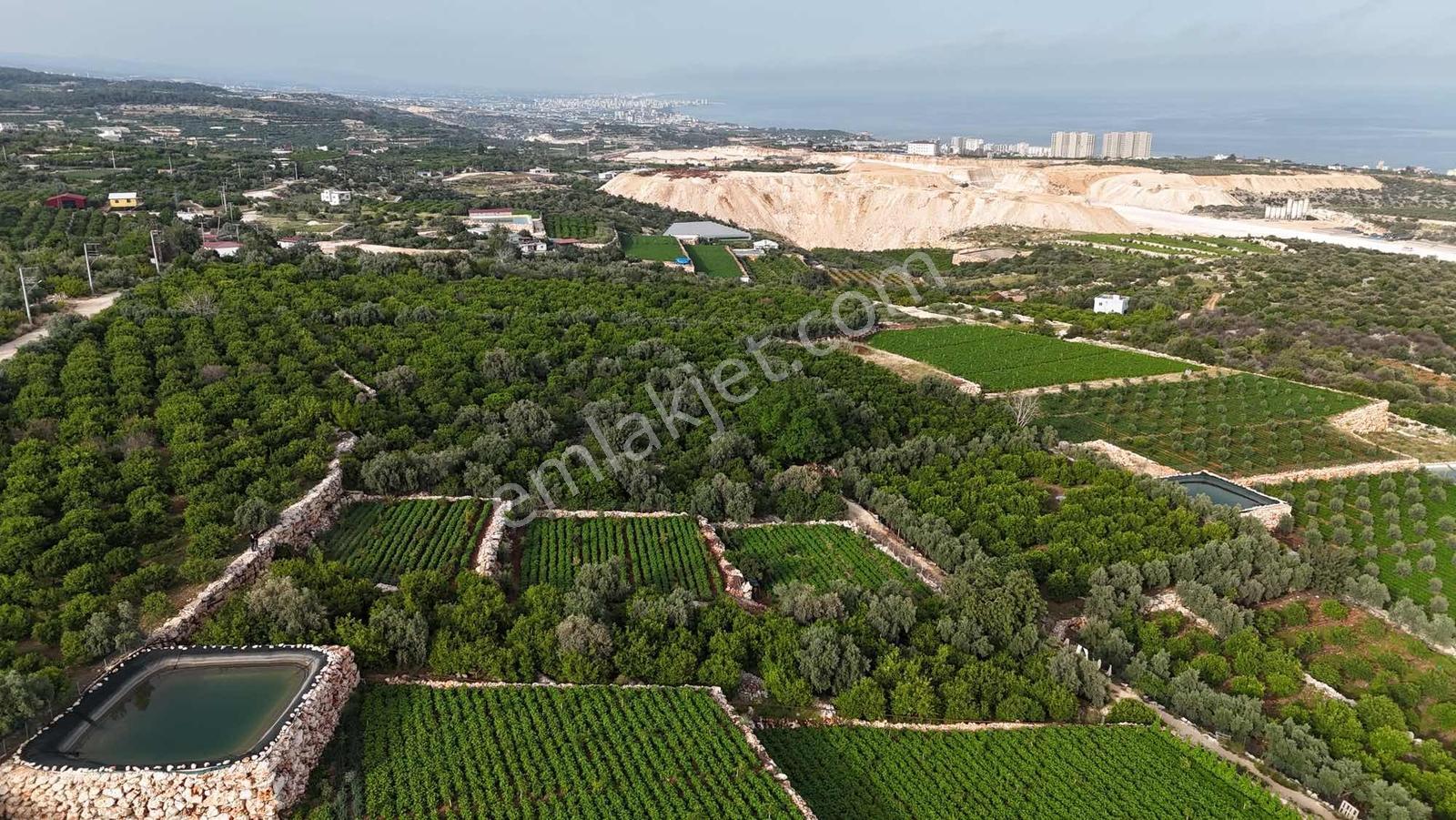 |ctn| Erdemli Kumkuyu Tırtar Full Deniz Manz. 1600m2 Bahçe - Görsel 9