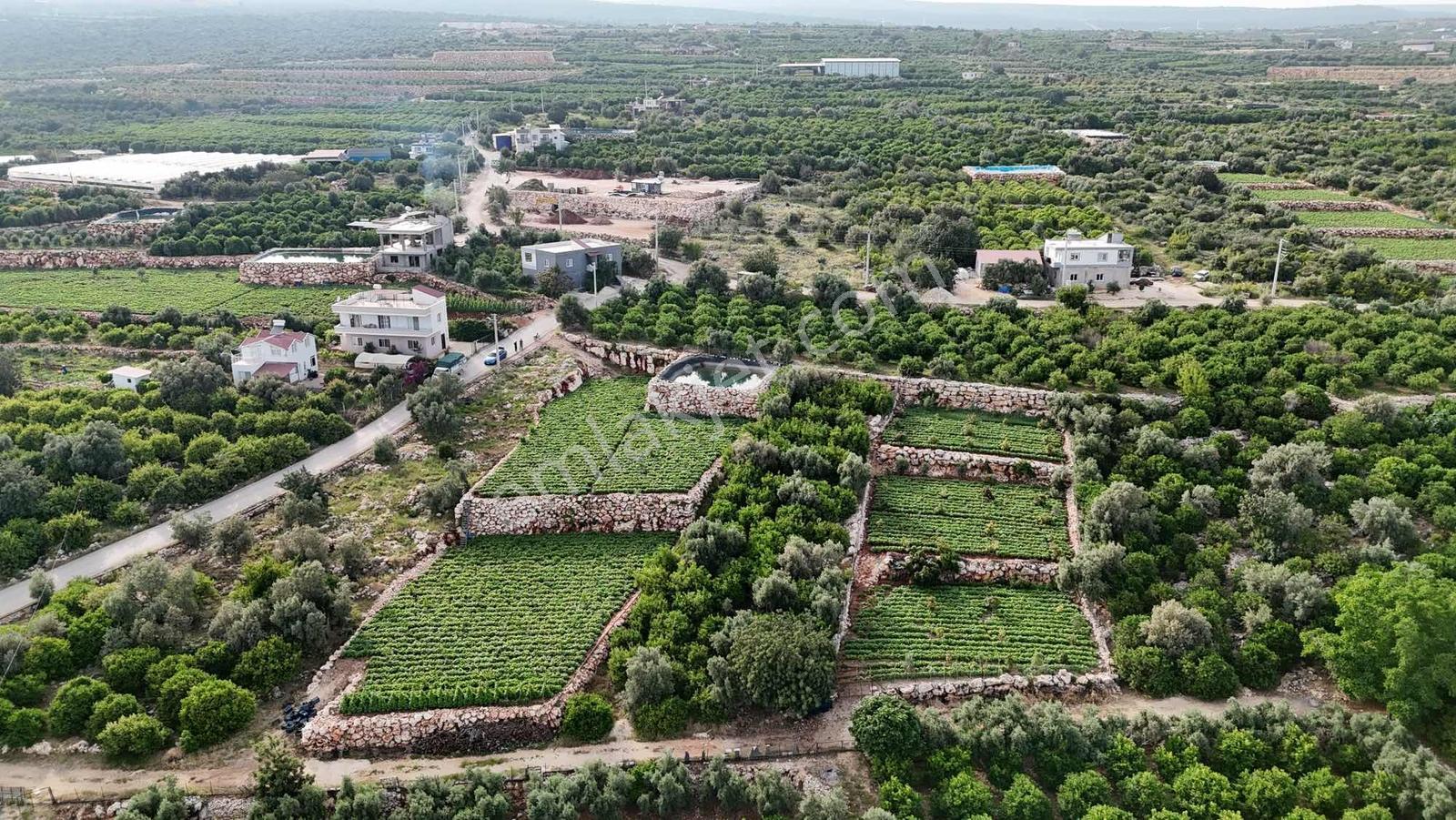 |ctn| Erdemli Kumkuyu Tırtar Full Deniz Manz. 1600m2 Bahçe - Görsel 8