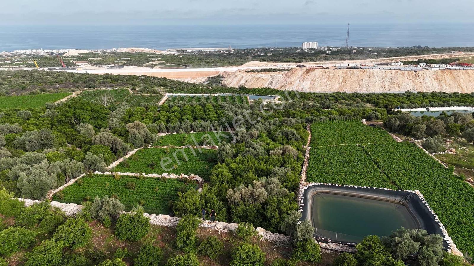 |ctn| Erdemli Kumkuyu Tırtar Full Deniz Manz. 1600m2 Bahçe - Görsel 3