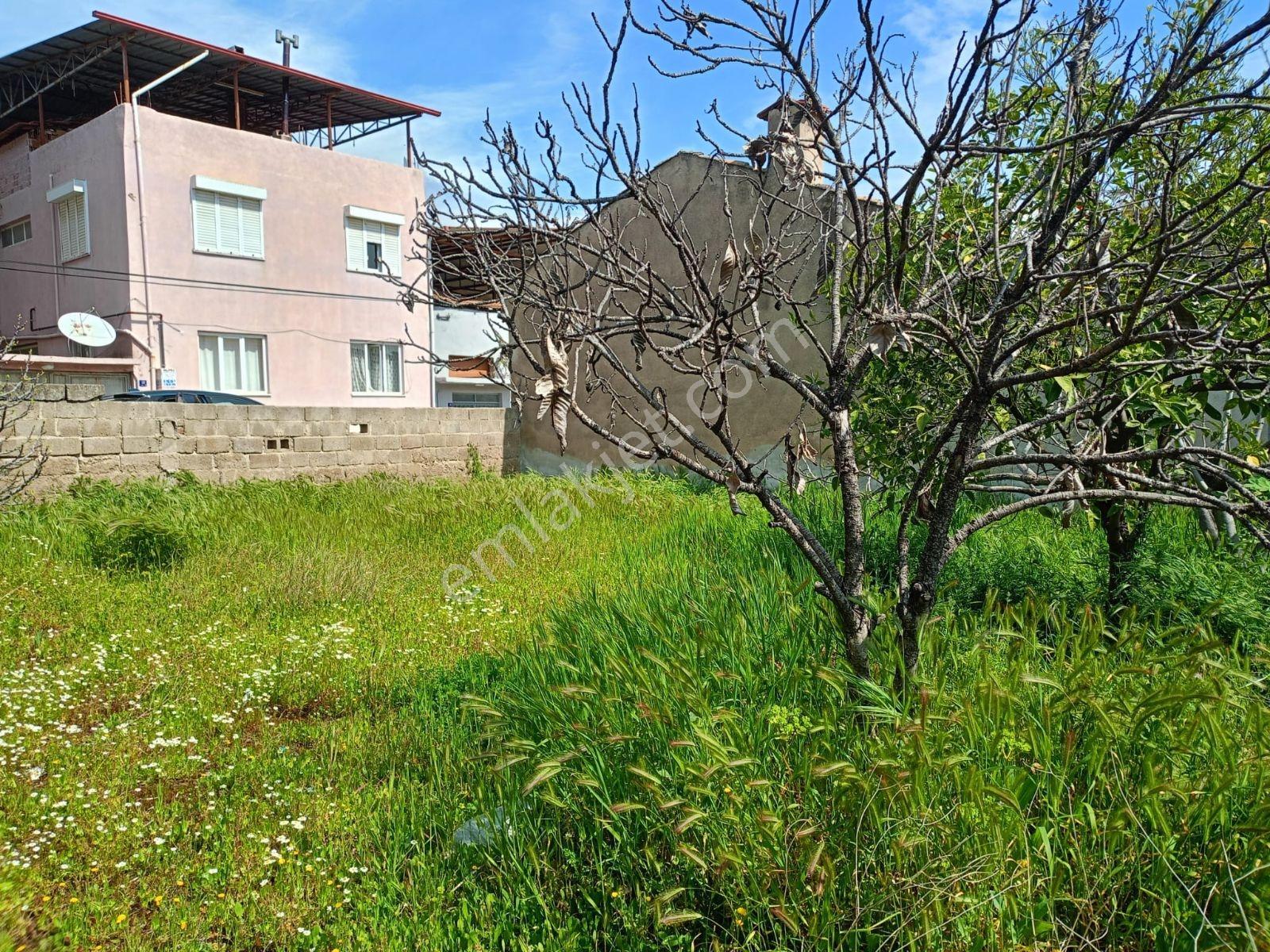 Müstakil Ev Ve Bahçe - Görsel 14