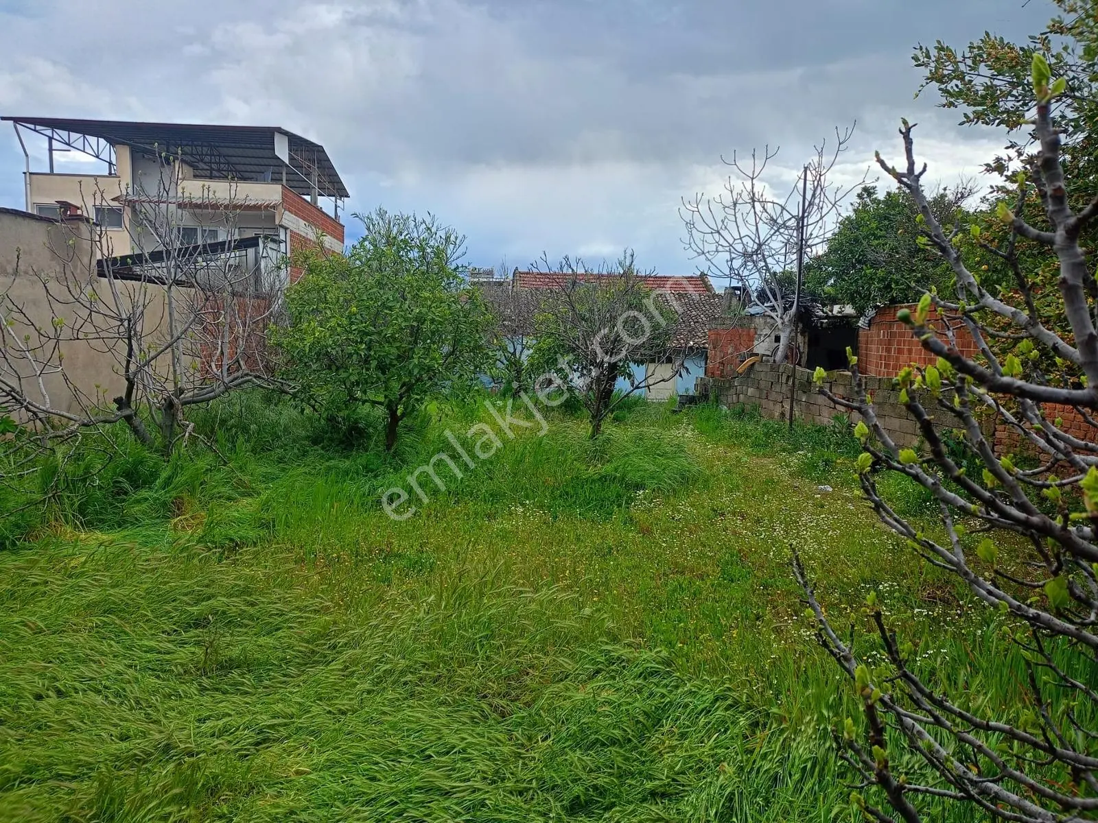 Müstakil Ev Ve Bahçe - Görsel 2