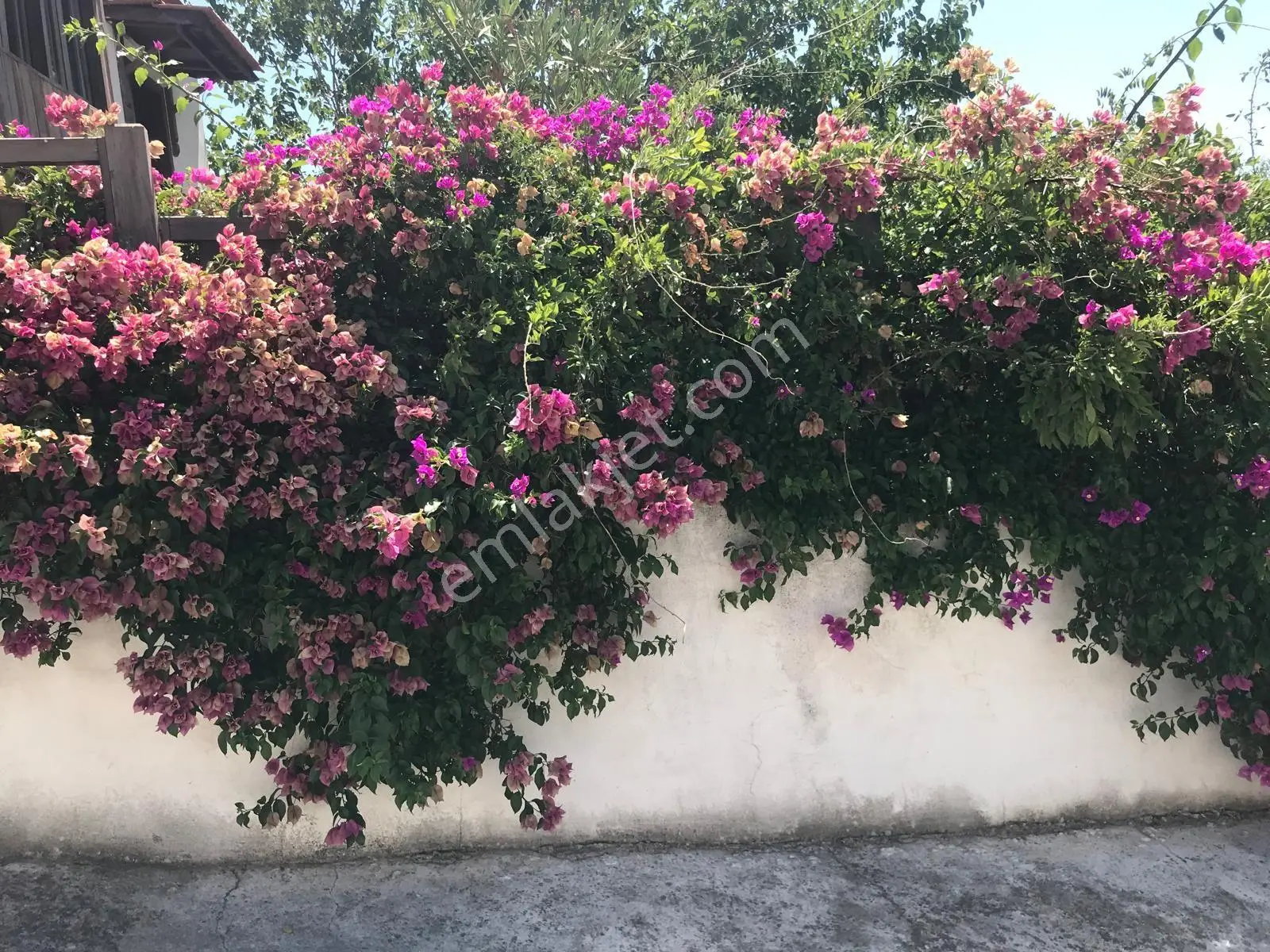 Kazıklı Mahallesinde 2+1 Lüks Satılık Köy Evi - Görsel 4