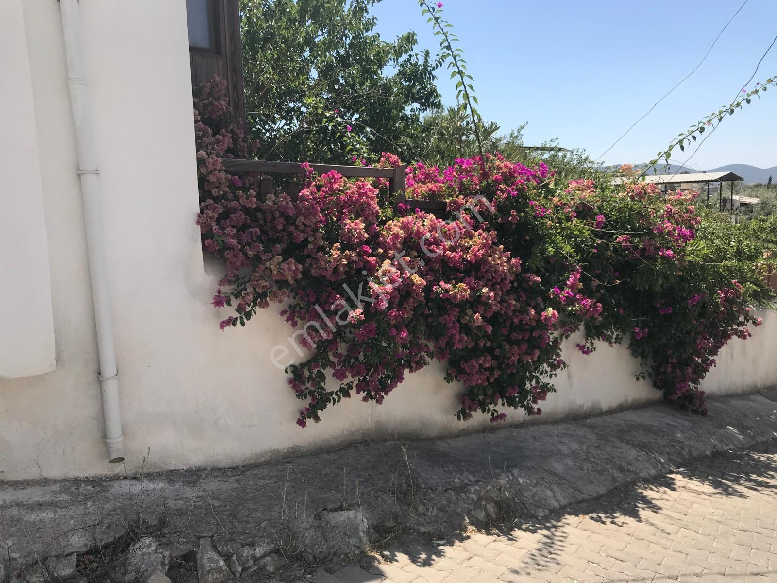Kazıklı Mahallesinde 2+1 Lüks Satılık Köy Evi - Görsel 32