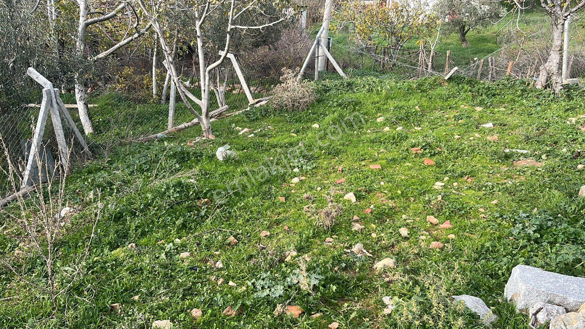 İzmir Bergama Köy Merkezinde Satılık Müstakil Ev Ve Arası - Görsel 6