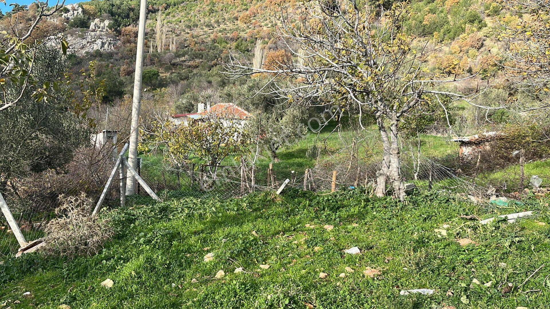 İzmir Bergama Köy Merkezinde Satılık Müstakil Ev Ve Arası - Görsel 14