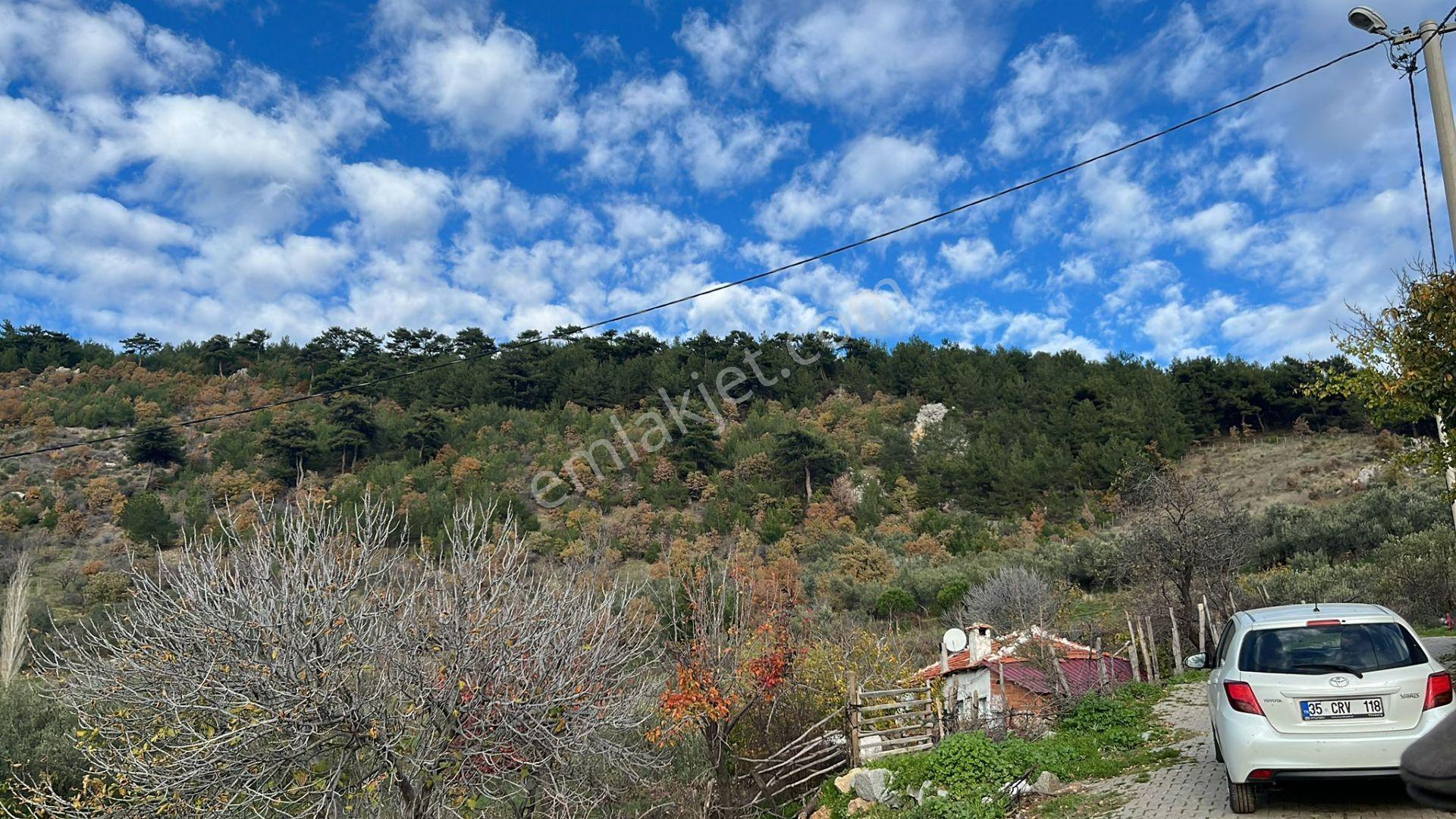 İzmir Bergama Köy Merkezinde Satılık Müstakil Ev Ve Arası - Görsel 16