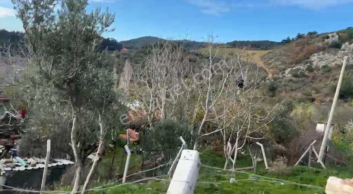 İzmir Bergama Köy Merkezinde Satılık Müstakil Ev Ve Arası - Görsel 18