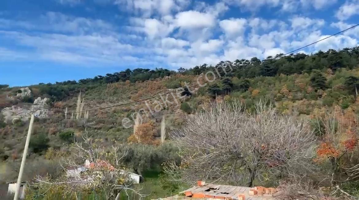 İzmir Bergama Köy Merkezinde Satılık Müstakil Ev Ve Arası - Görsel 19