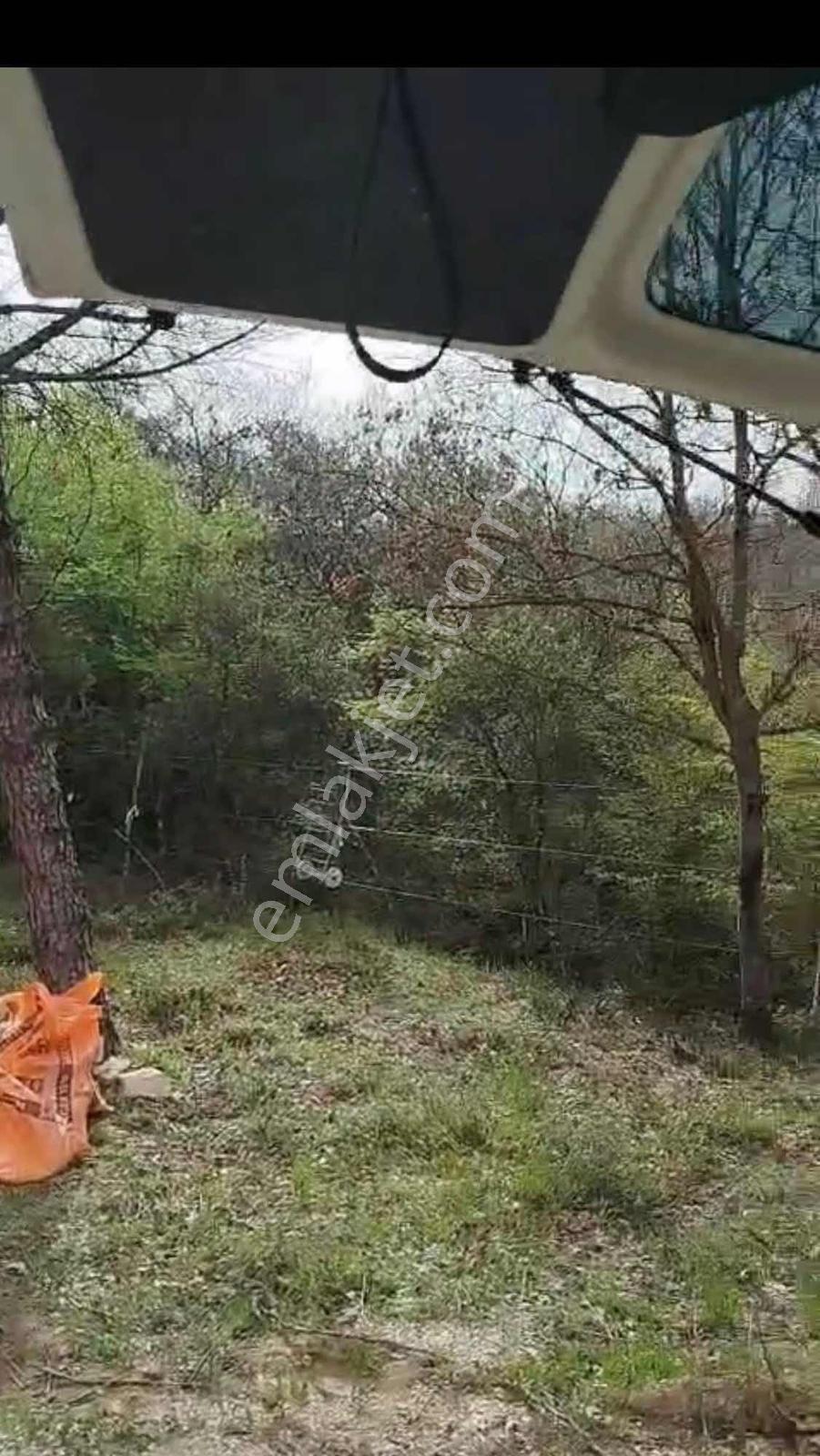 Balcity-balıkesir'de 3.454 M2 Yeşillikler İçinde Bağ Evi Bahçesi - Görsel 16