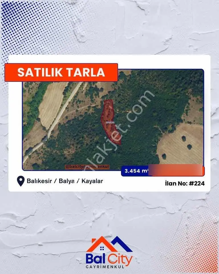 Balcity-balıkesir'de 3.454 M2 Yeşillikler İçinde Bağ Evi Bahçesi - Görsel 2