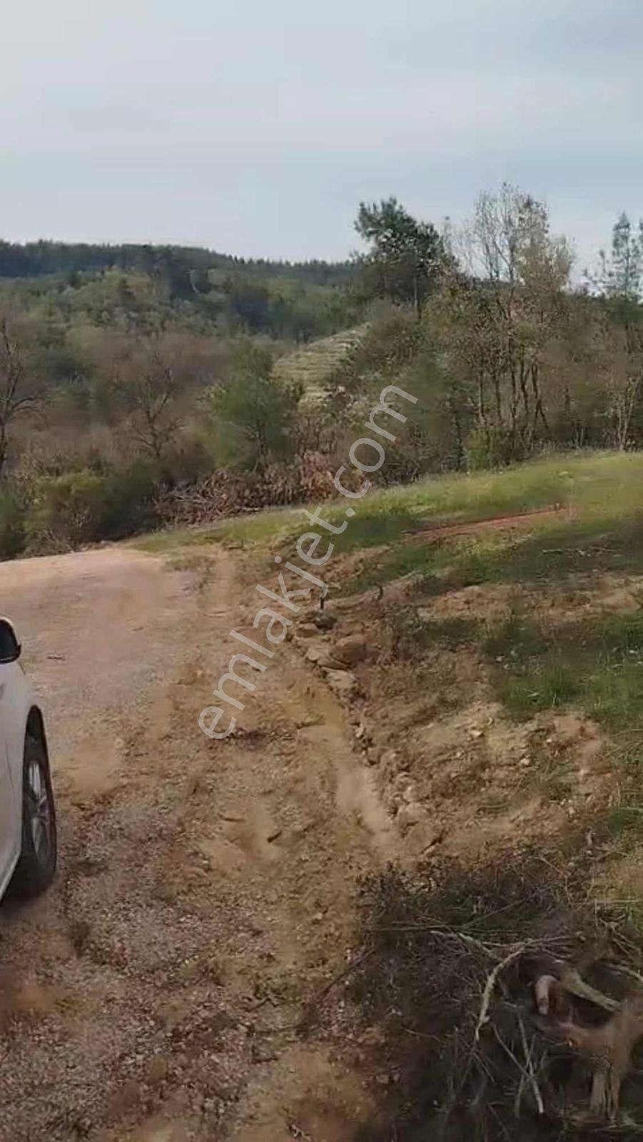 Balcity-balıkesir'de 3.454 M2 Yeşillikler İçinde Bağ Evi Bahçesi - Görsel 14
