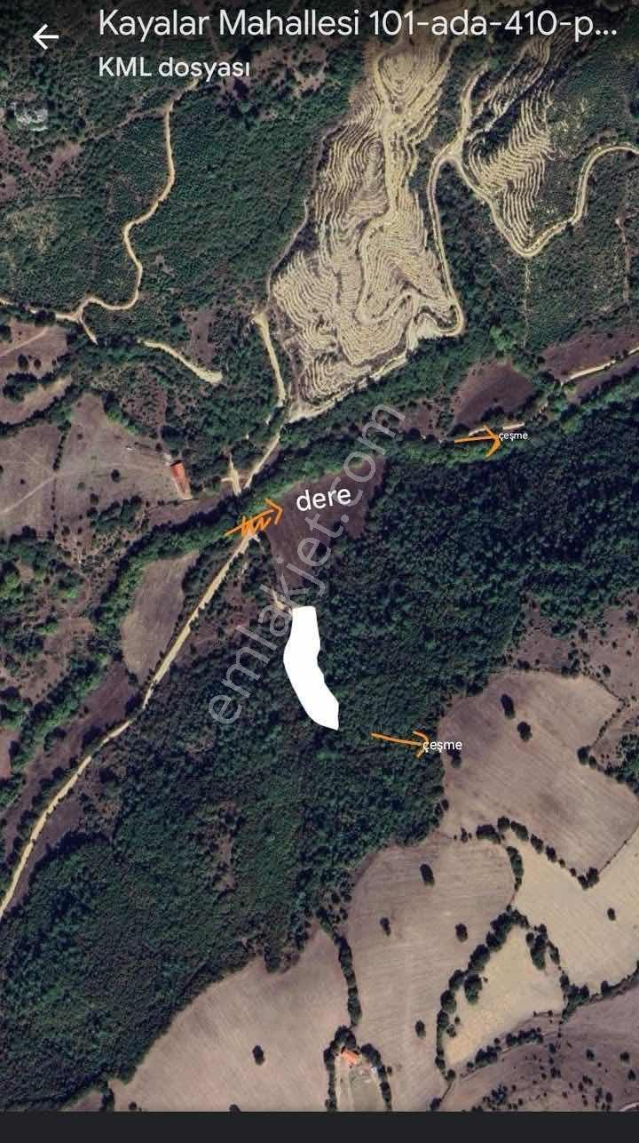 Balcity-balıkesir'de 3.454 M2 Yeşillikler İçinde Bağ Evi Bahçesi - Görsel 12