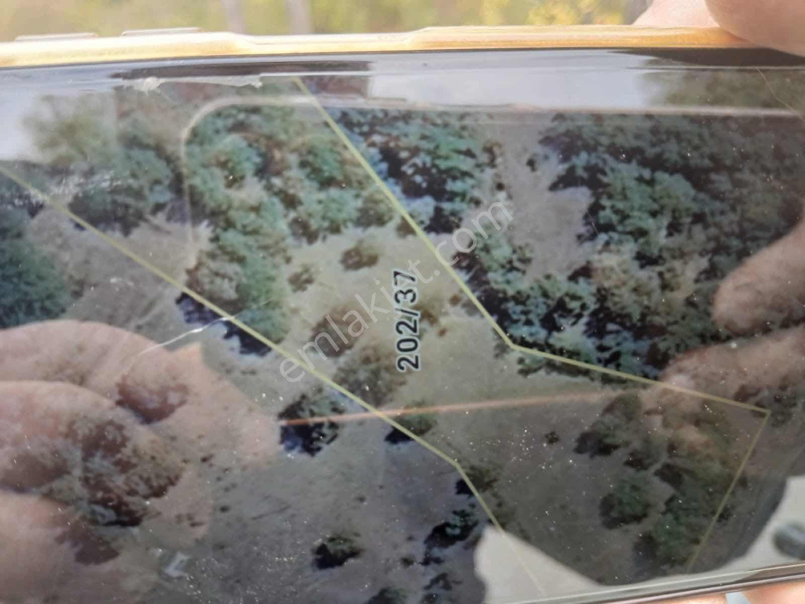 Balcity - İvrindi Kuşdere'de Ana Yola Cephe 4.852 M² Tarla - Görsel 10