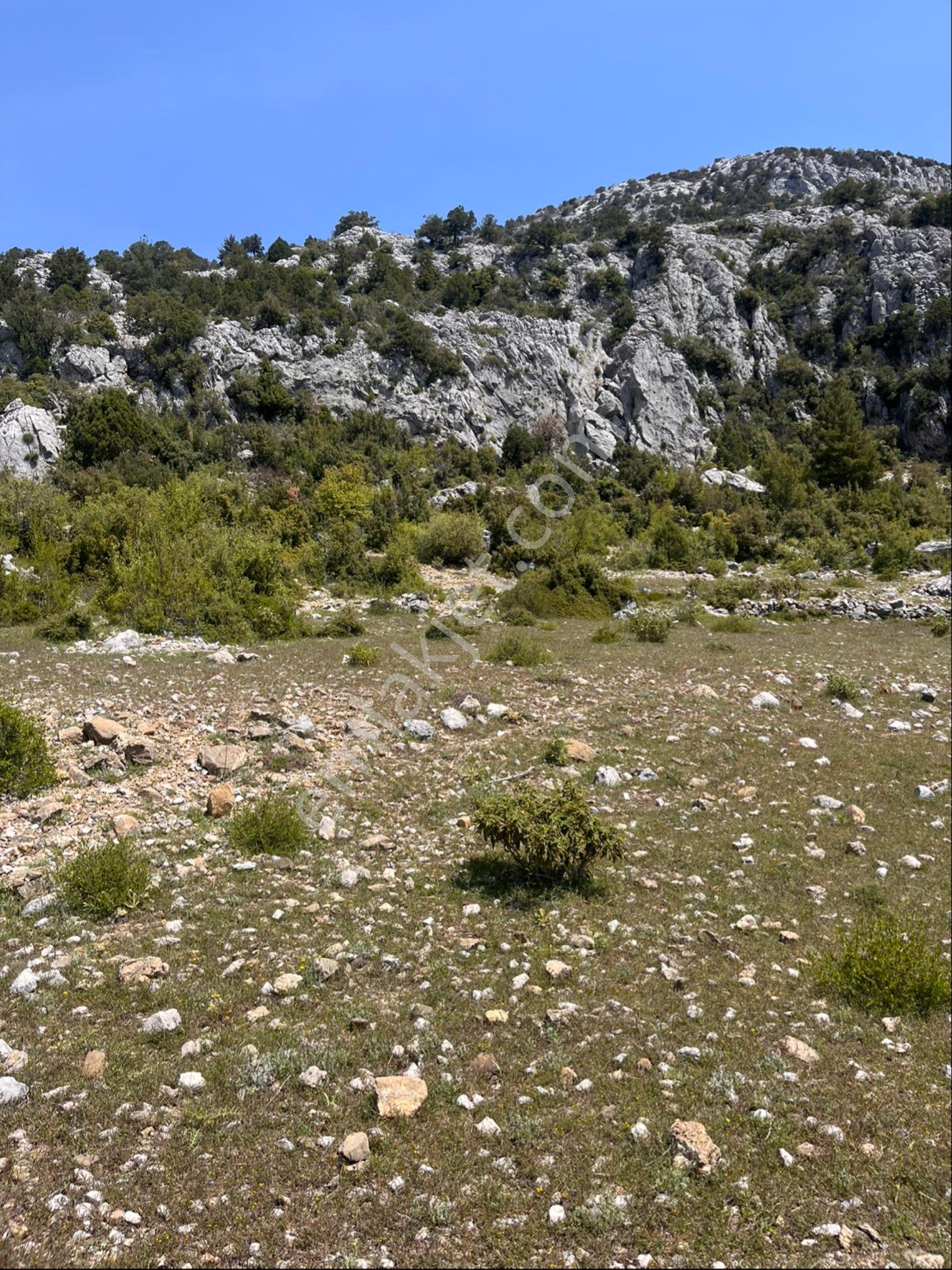 Sahıbinde Güzel Konum - Görsel 10