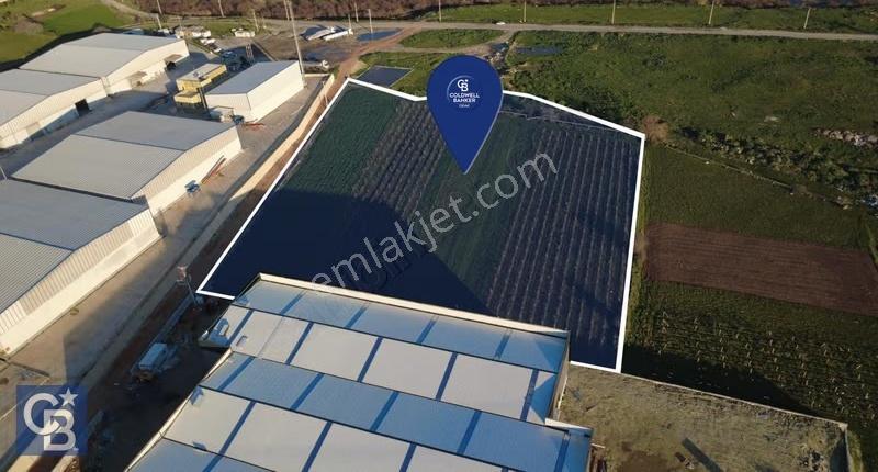 Menemen Türkelli'de Satıılık 15,300m2 Tarımsal Sanayi İmarlı - Görsel 6