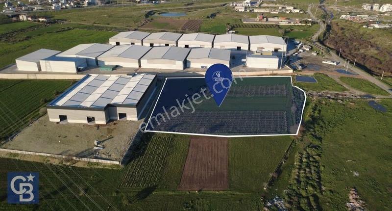 Menemen Türkelli'de Satıılık 15,300m2 Tarımsal Sanayi İmarlı - Görsel 7