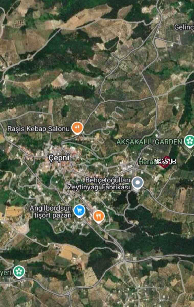 Çepni'de 3382 M² Arsa İçerisinde Satılık Bağ Evi - Görsel 25