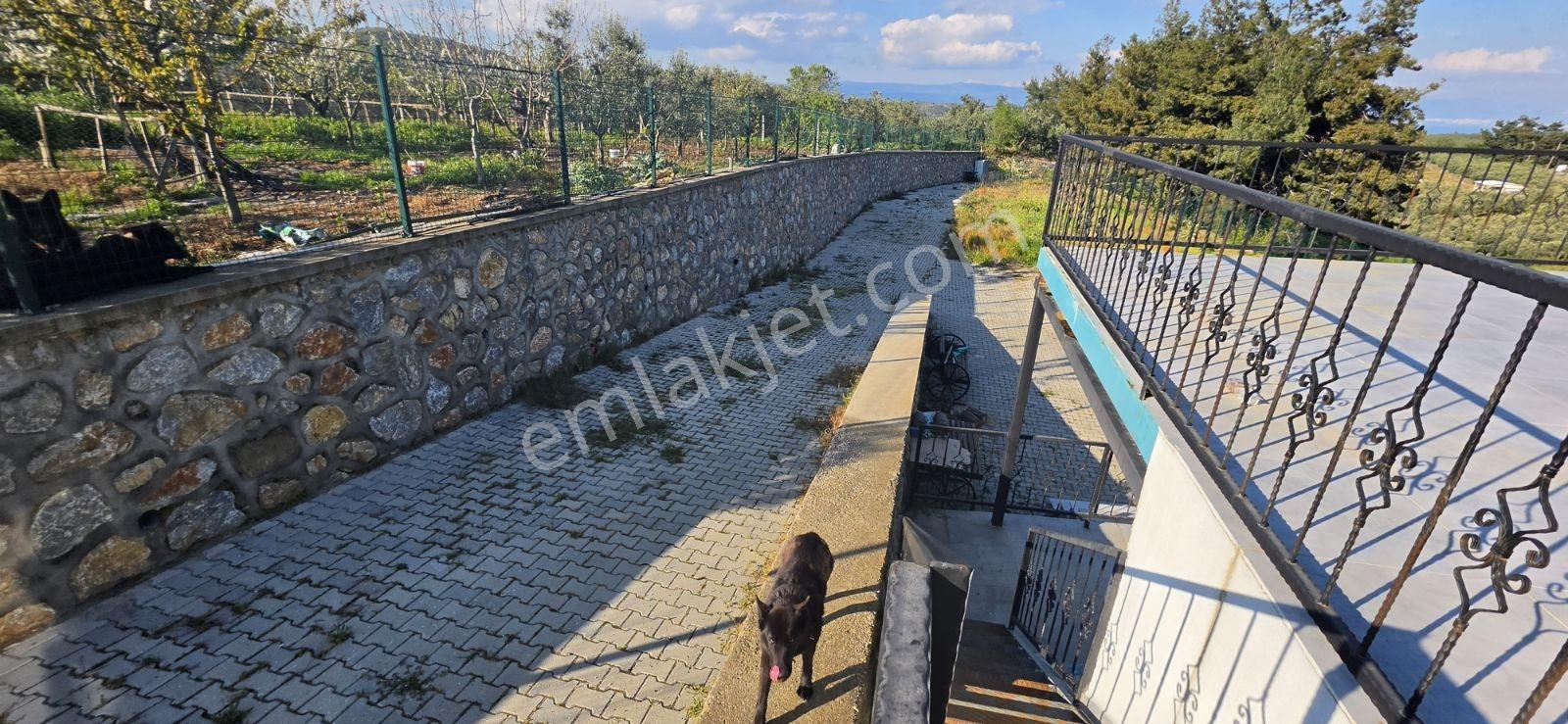 Çepni'de 3382 M² Arsa İçerisinde Satılık Bağ Evi - Görsel 35