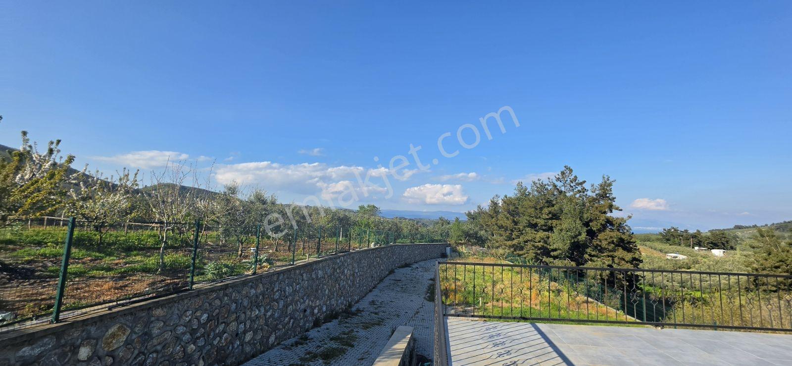 Çepni'de 3382 M² Arsa İçerisinde Satılık Bağ Evi - Görsel 12