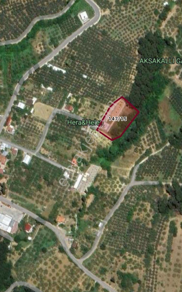 Çepni'de 3382 M² Arsa İçerisinde Satılık Bağ Evi - Görsel 24