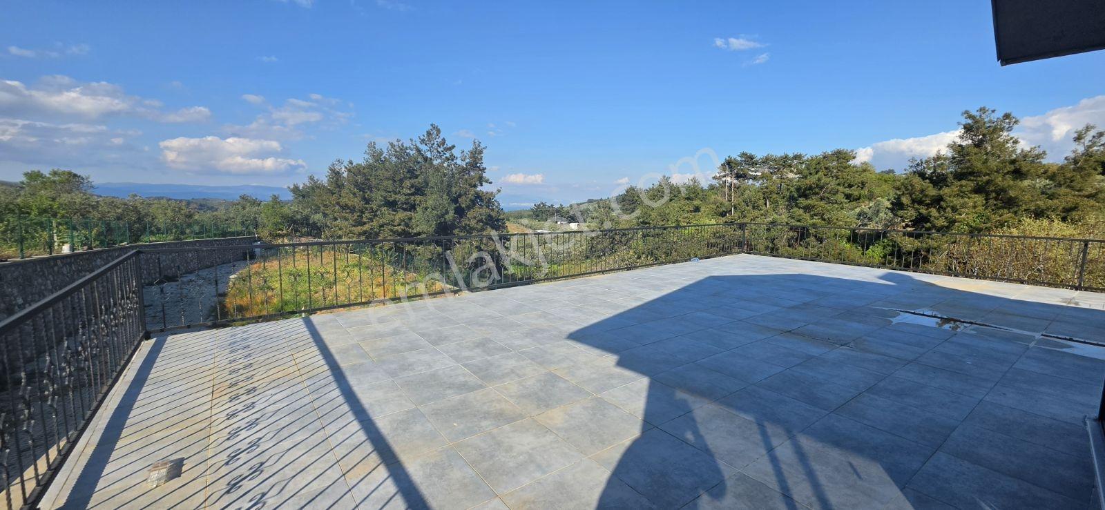 Çepni'de 3382 M² Arsa İçerisinde Satılık Bağ Evi - Görsel 32