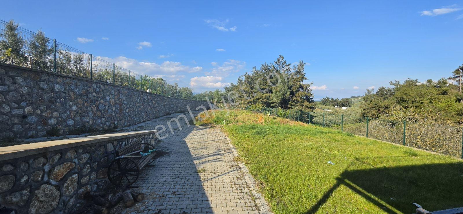 Çepni'de 3382 M² Arsa İçerisinde Satılık Bağ Evi - Görsel 8