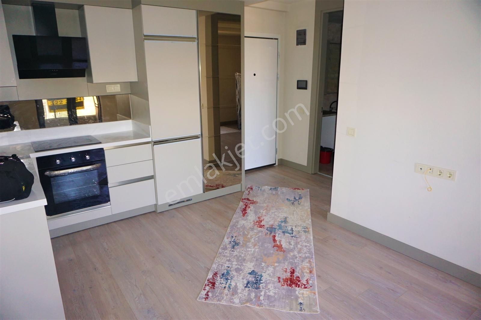 Altıntaş Cadde Üstü Kiralık (ofis İçin Uygun) 1+1 Daire - Görsel 11