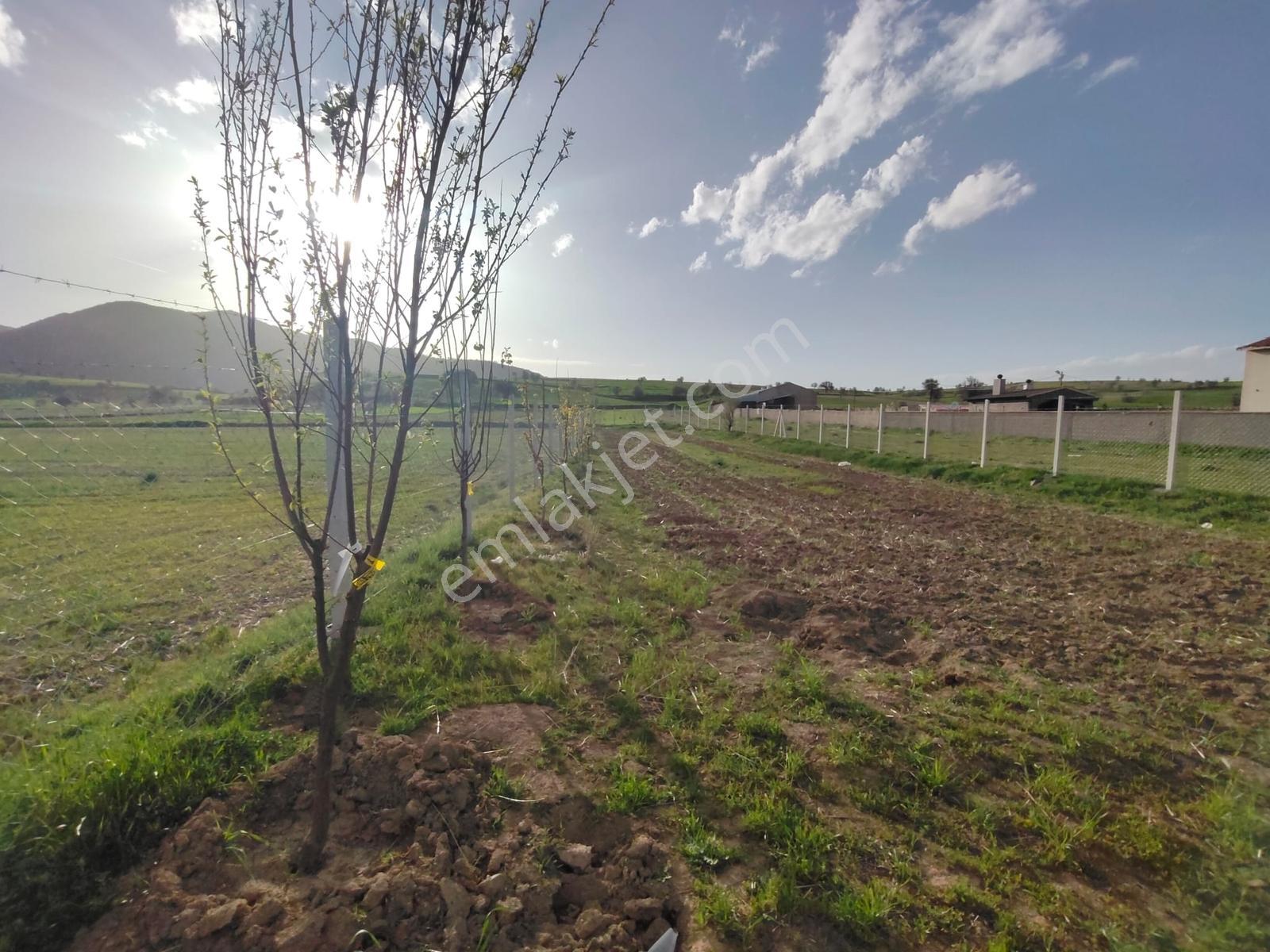 Talas Yazıyurdu Mahallesinde Yol Kenarı 740 M² Tel Örgülü Tarla