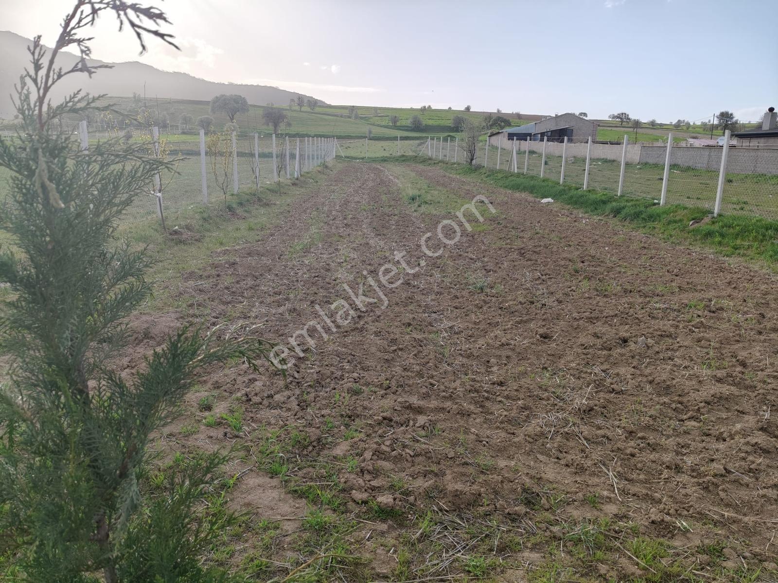 Talas Yazıyurdu Mahallesinde Yol Kenarı 740 M² Tel Örgülü Tarla - Görsel 8