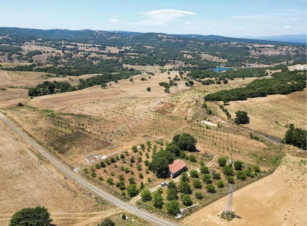 Bilecik Söğütte 60 Dönüm Satılık Hazır Çiftlik | 2000 Chandler - Görsel 2